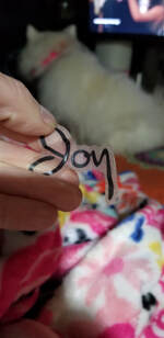 Picture
